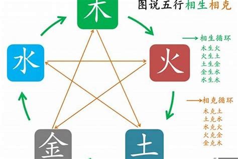 王五行|王属于五行属什么